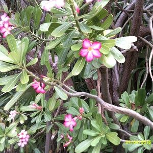 Meet your Posher, Kelli